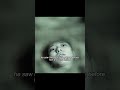 👻 #movie #youtube #film