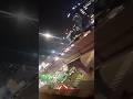 # सपनो का शेहर 🚦# city vibe # traffic # struggle #Nightout_Vibe# Go with Flow# Dream big #💯🌆😍
