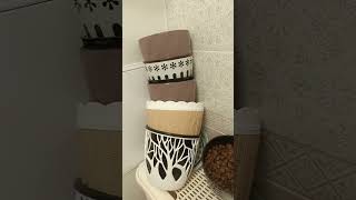 видео: Пересаживаем цветы картинка: Пересаживаем цветы