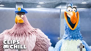 Las Escenas Más Divertidas De Angry Birds 2 La Película