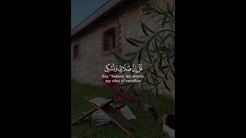 @سورة الأنعام@سعد الغامدي