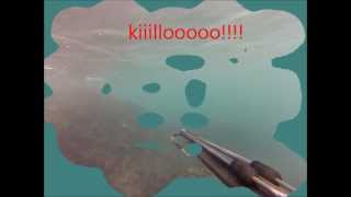 primer video pescasub: un pulpillo
