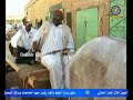 جمال حسن سعيد دراما سودانية