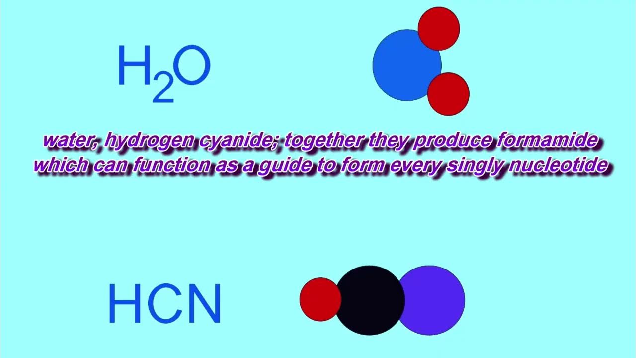 Origin Of Life Song YouTube origin-of-life-song-youtube