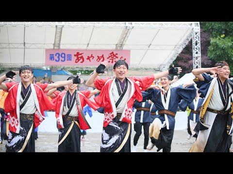 あやめよさこい20190701 B 008 総踊り／踊れ魂 どっこいしょ
