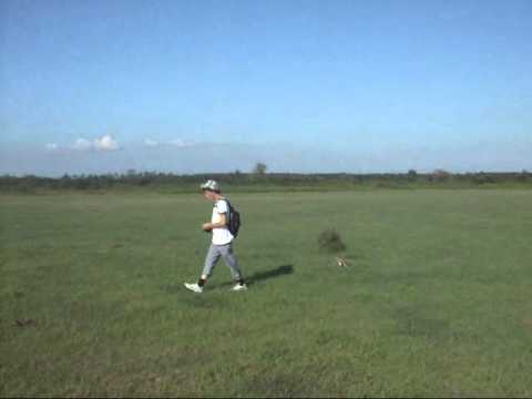 falconers.Geo ბაზიერები