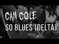 Cam cole  so blues delta official lyric