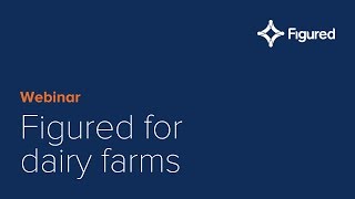 Figured for dairy farms screenshot 5