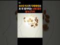2025년 5월 11일