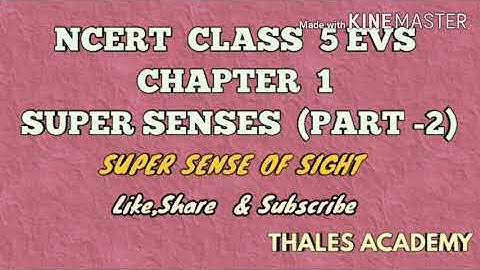 NCERT CLASS 5 EVS CHAPTER 1 SUPER SENSES (PART - 2)