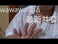 Wawawa 復活 コメ付き これ 食べてみた 熟成肉とほうれん草のソース煮込み アル中カラカラ