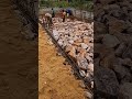 Building a house 1st phase #shorts #viralshorts