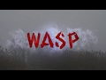 W.A.S.P - Heaven's Hung In Black (Sub Español + Lyrics)