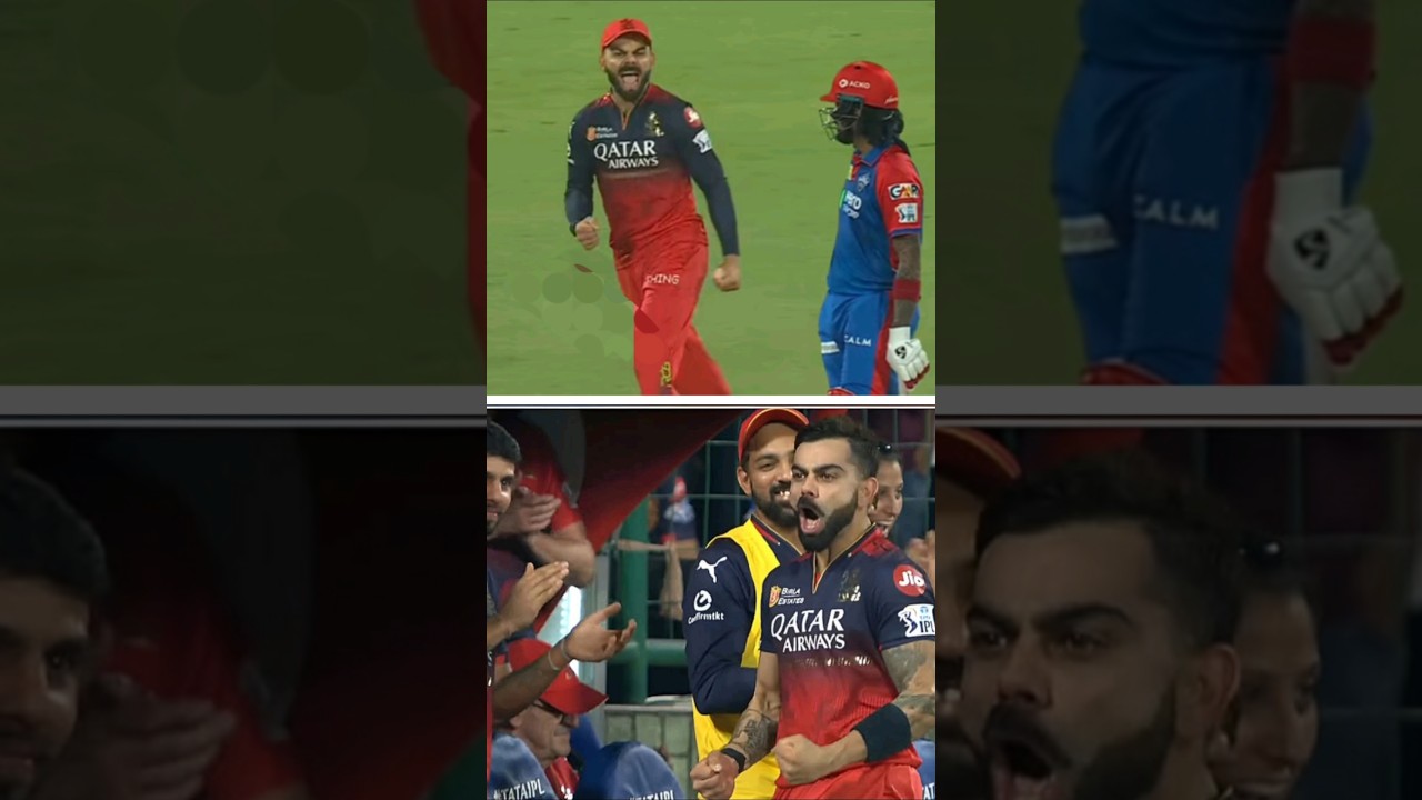 rcb vs dc match highlights ipl 2025 