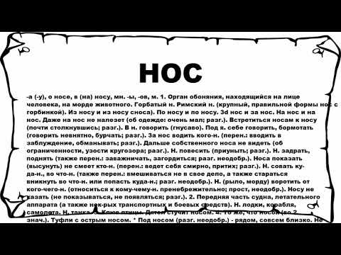 НОС - что это такое? значение и описание