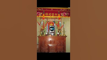 Rip NS chịch heo Và con chó trẻ trâu acc clone rip khang pad bú cặt của Bình