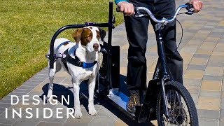 Dog Powered Scooter Exercises You And Your Pup