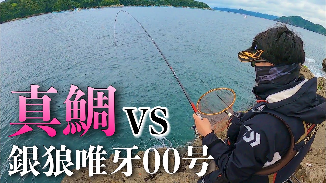 【VSのすけ】00号で挑む真鯛釣りが面白すぎる！！真鯛VS銀狼唯牙00号　【フカセ釣り】【バクチバエ】【スーパー堤防】【宮崎】