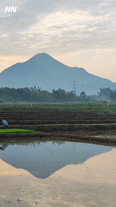 Story Wa Vidi Aldiano - Nuansa Bening (instrument)