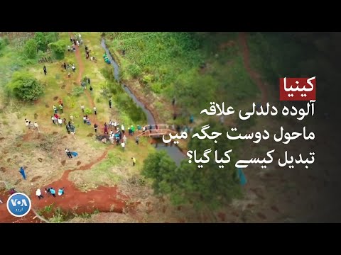 Still from Kenya: How a polluted swampland was transformed into an eco-friendly place? | VOA URDU