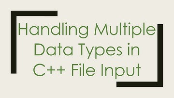 Handling Multiple Data Types in C+ +  File Input