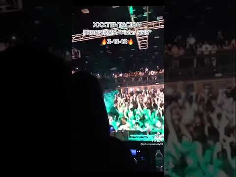 Xxx Tentacian Floor 555 