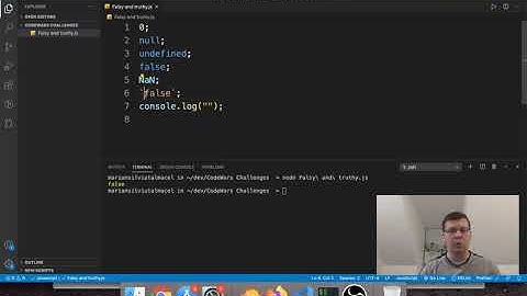 Javascript Wtf Questions - To be falsy or to be truthy, that is the question