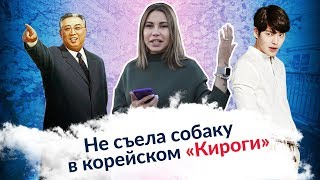 Ксения Fox не съела собаку | Поедим на 5-ку - корейское кафе 