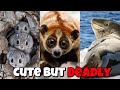 TOP 10 Animals I Want To Cuddle But They Won`t Let Me