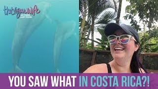 Pura Vida Series: Costa Rica Highlights | ThatVeganWife by Amy Beth Bolden 21 views 5 years ago 5 minutes