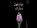سال نو مبارک تبریک سال ۱۴۰۳ کلیپ تبریک عید نوروز عید نوروز ماه رمضان بهار