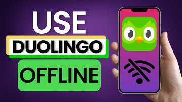 How To Use Duolingo Offline 2025