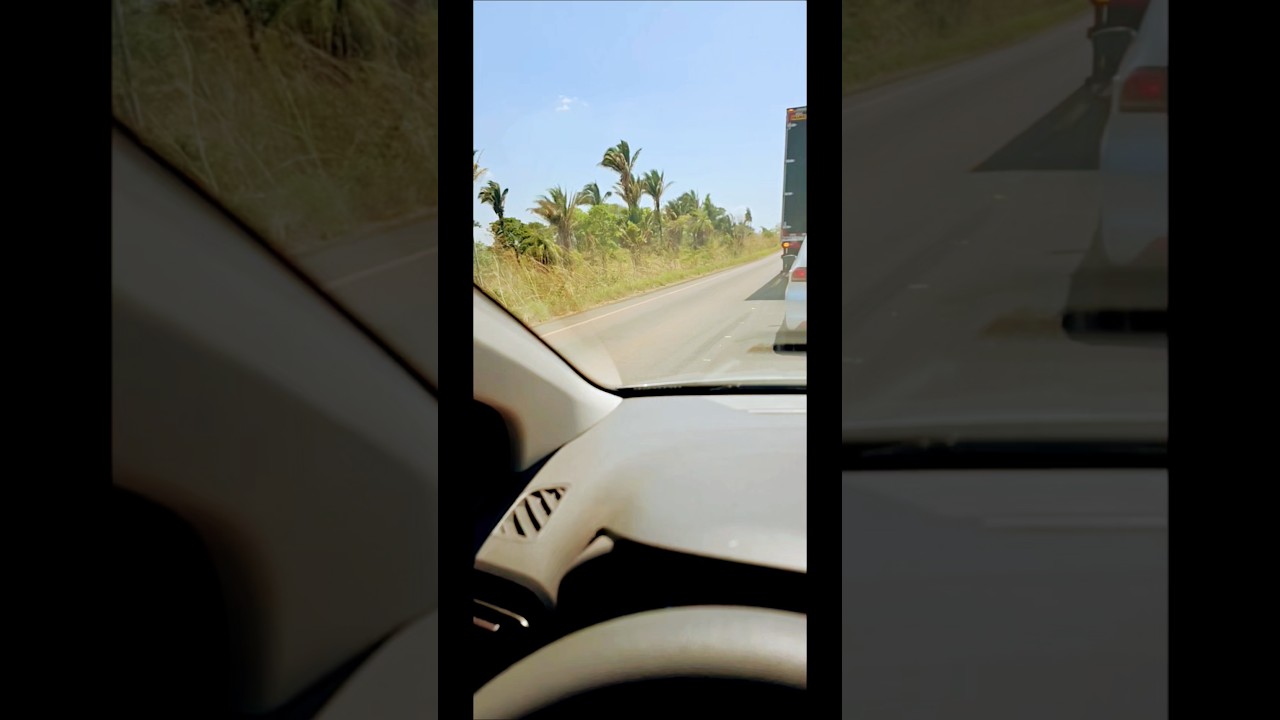 cuidado! não alimentar  animais na estrada.