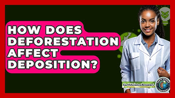 How Does Deforestation Affect Deposition? - Earth Science Answers