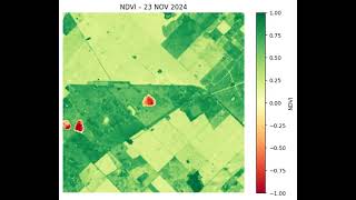ndvi time series