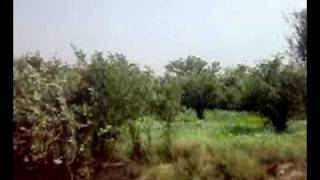 14062009002.mp4