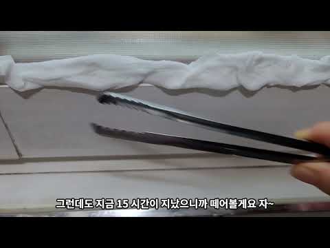고약한 곰팡이 한방에 제거하기😥