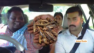 வெட்டுக்கிளிகளின் அட்டகாசம் இந்தியாவிற்கு அடுத்த அடி ? | Locust Attack In India | Arivom Thozha