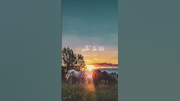 {من خشي الرحمن بالغيب وجاء بقلب منيب } - القارئ سعود الشريم