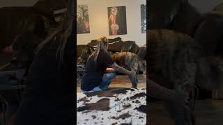 IMG 7680