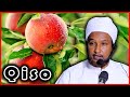 Qiso Cusub‼ Ninkii Safarka Ahaa Ee Tufaax Anu Lahayn Cunay + Alle Ka Cabsiga┇►Sh Xuseen Jabuuti