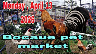 Monday April 13 2016 , Bocaue Pet Market .