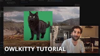 How To Make Owlkitty Videos - Ae Tutorial