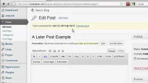 WordPress Tutorial 53 - How to Schedule Blog Post For Future Date.mp4