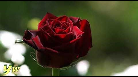 052 محمد طبلاوي Surat At Tur سورة الطور