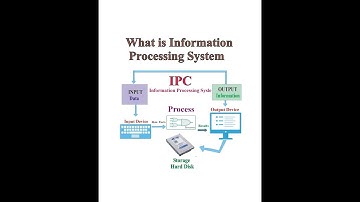 IPC ( Information processing cycle )
