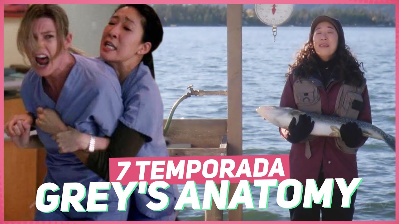 assistir 7 temporada greys anatomy