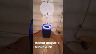 Алиса Снайпер