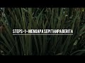 Steps  mengapa sepi tanpa berita  lirik  high quality