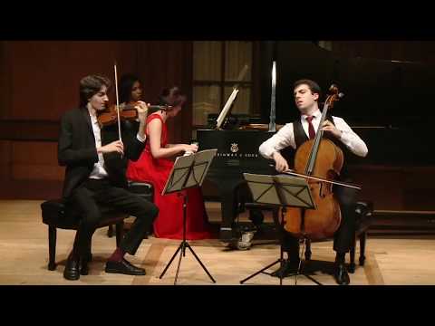 Brahms B-major Piano Trio no. 1, Op. 8